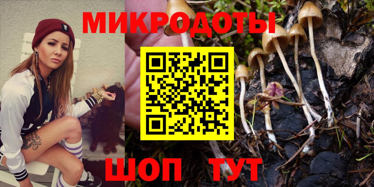 Чернушка  Галлюциногенные грибы Cubensis  Вход с VPN  Галлюциногенные грибы Cubensis 